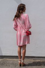 PETITE MENDIGOTE Riga Beldy Dress - Blush SzS
